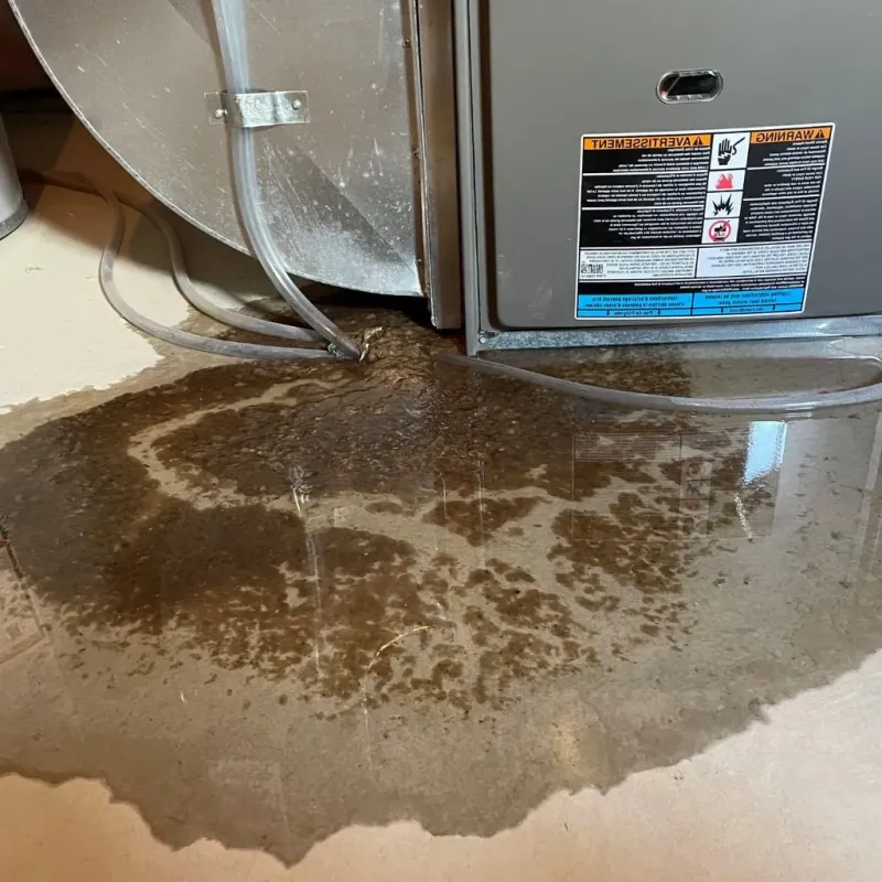 Pipe Burst and Leak Restoration in Clark County, IN