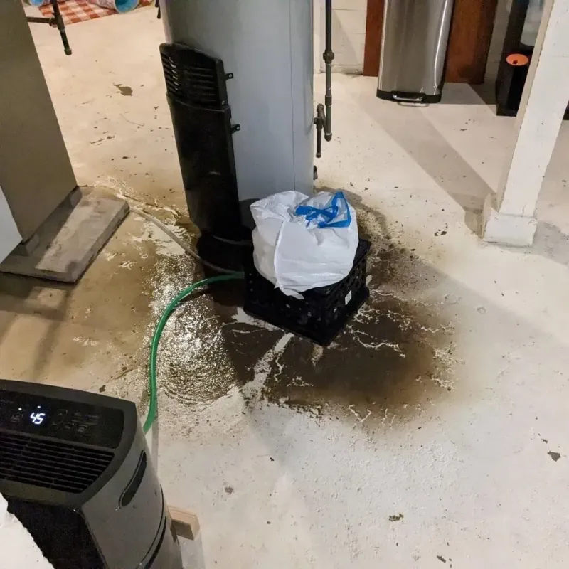 Sewage Backup Cleanup Service in Clark County, IN